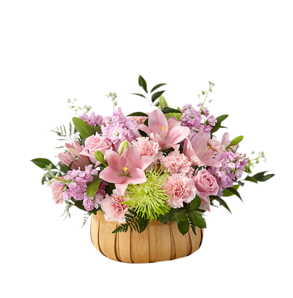 Spirit Basket
