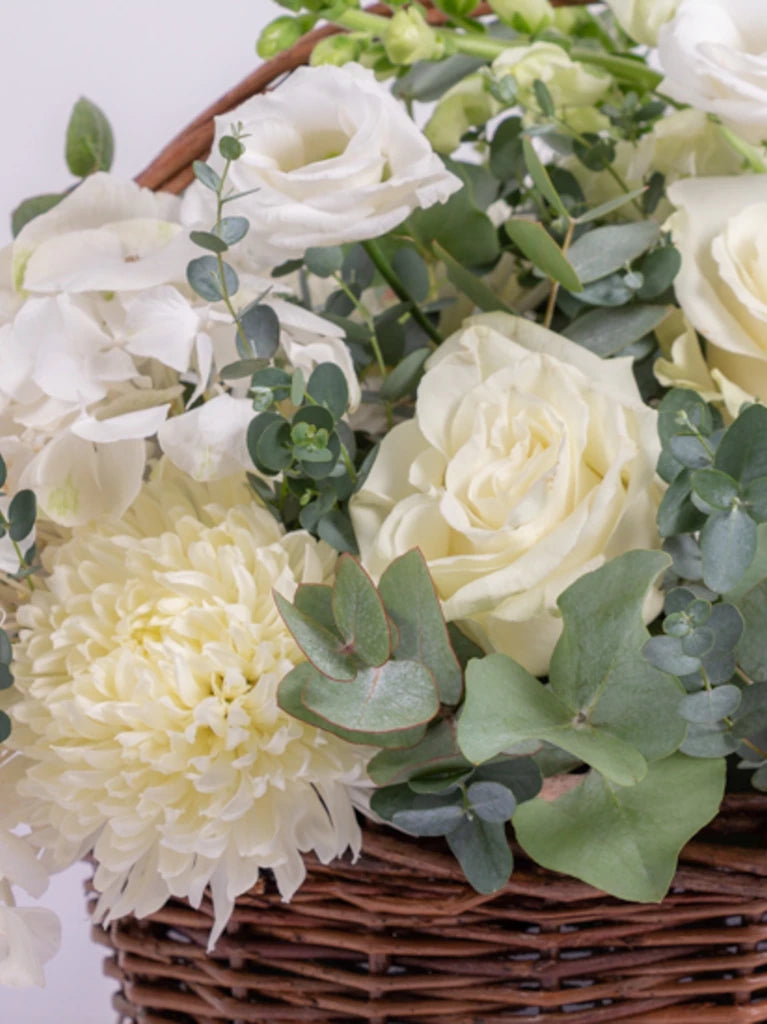 Purity Basket