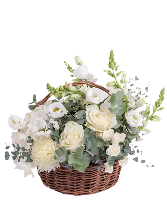 Purity Basket